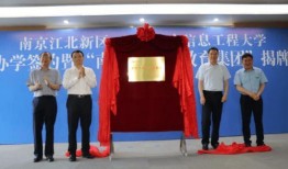 鹏飞集团爆料最新消息视频,揭秘重大商业动态！